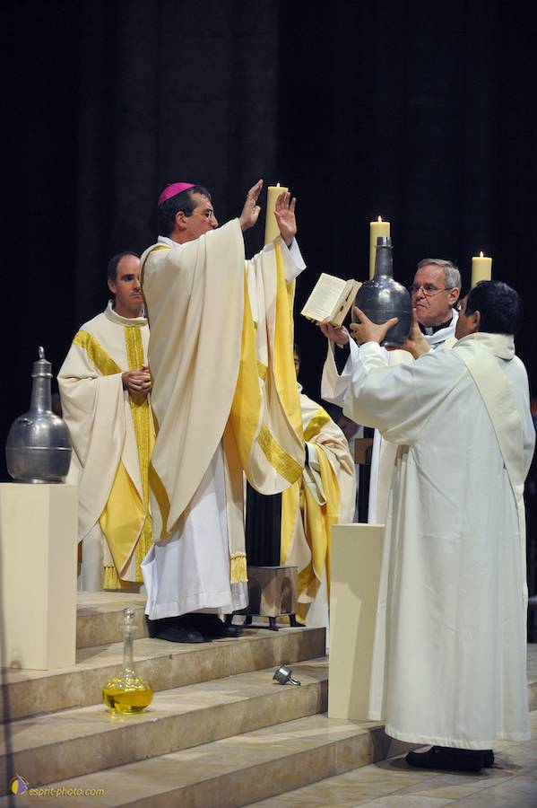 Nom de l'image : D30050464_1_(c)Norbert-JUNG — Description :